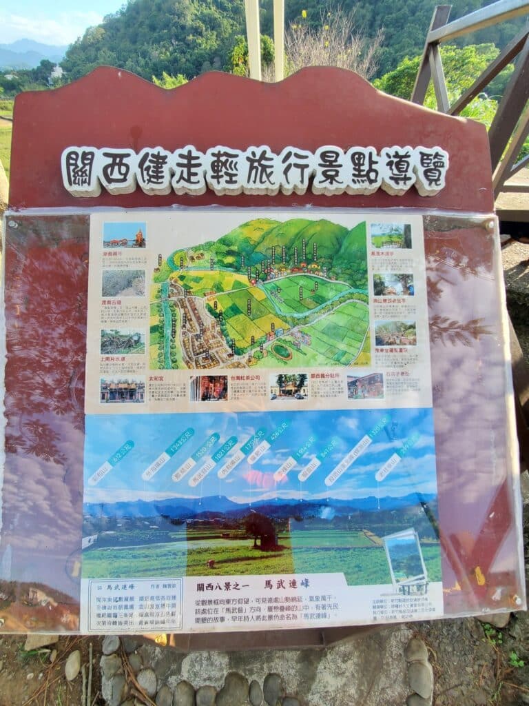 【新竹關西景點】『仙草花田』美麗新地標-關西版『紫色薰衣草』免費開放共享 - 5