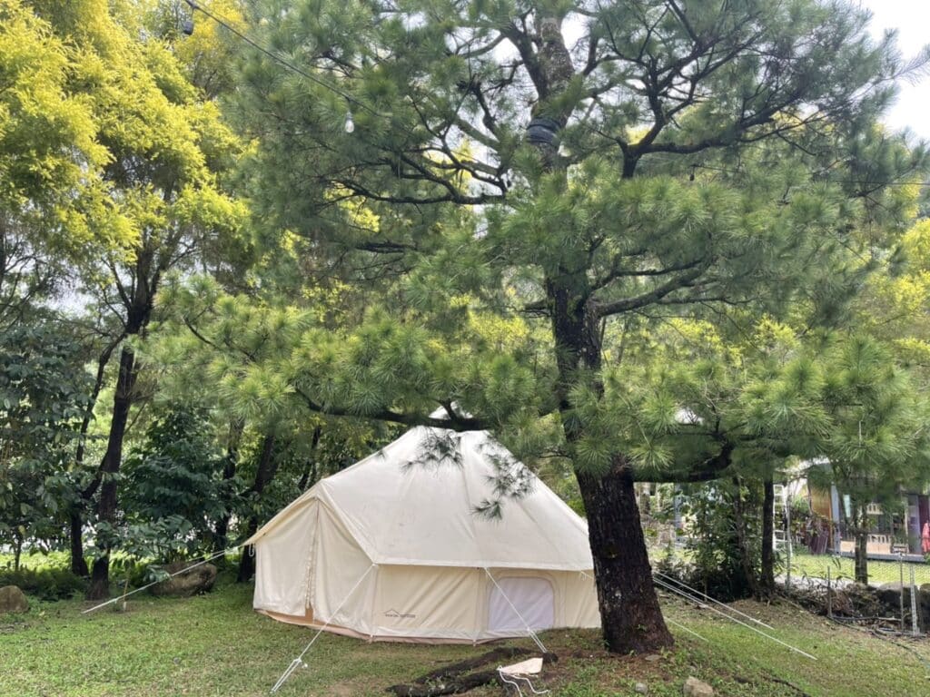 【南投魚池露營】拂水山莊內有2024房間價目表-一起在松樹下露營/懶人之五星平價豪華露營 - 312