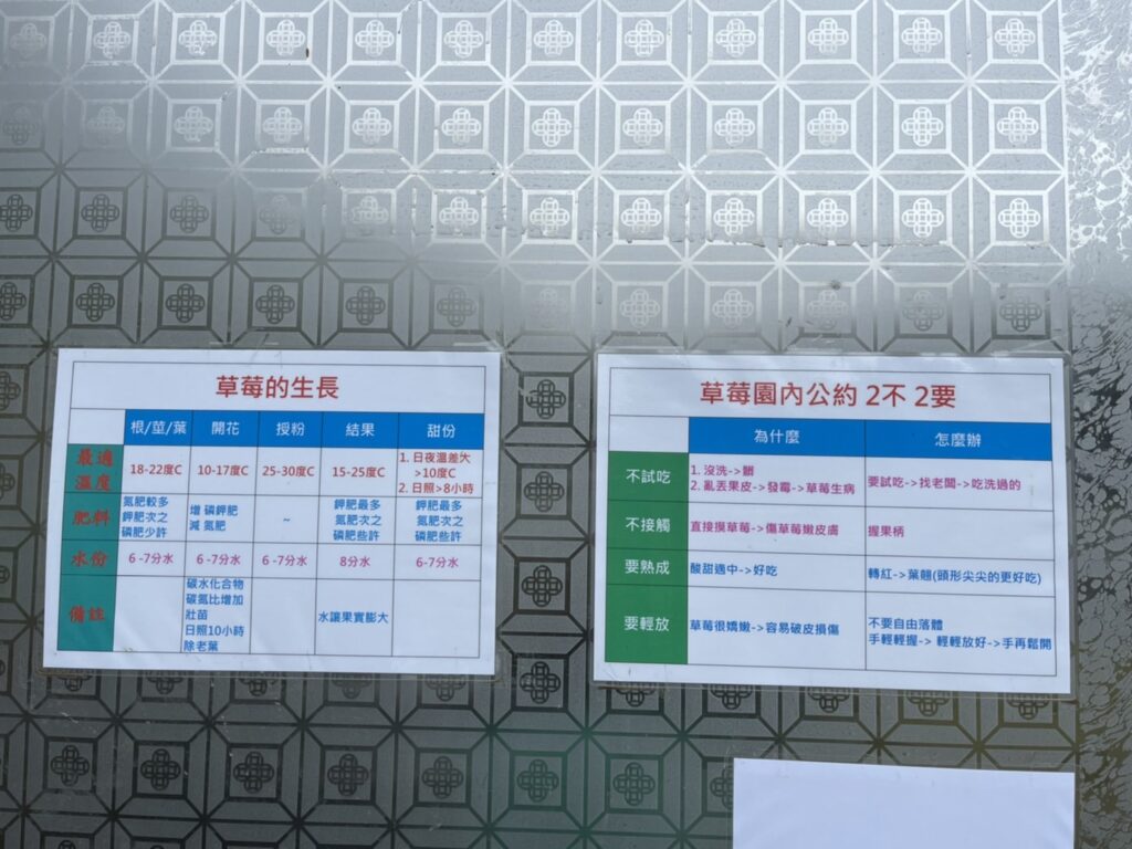 【新竹關西採草莓】好上林無毒草莓園-無毒無農藥的高架豐香草莓讓人吃得安心也放心/內有2024價目表 - 52