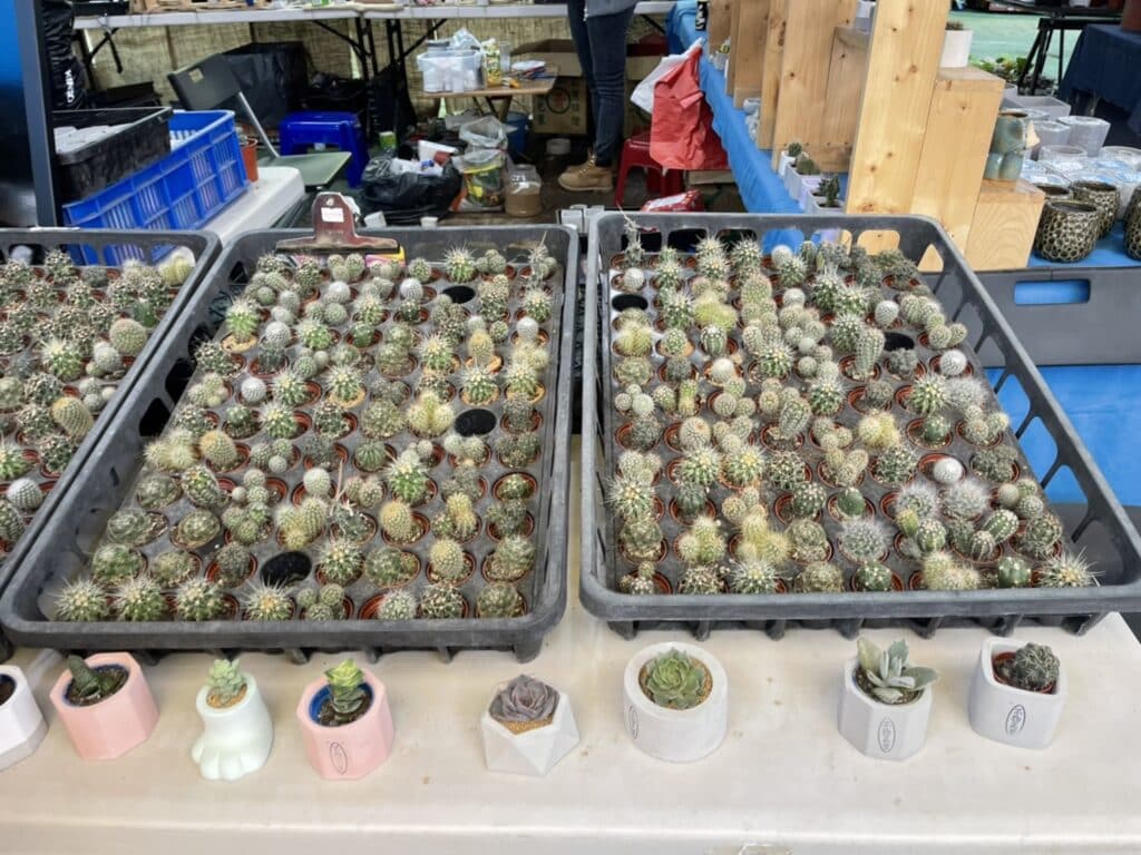 【屏東熱博】熱帶農業博覽會-228連假屏東熱博按讚送地瓜/迪士尼彩繪稻田在屏東/迪士尼迷的你千萬不要錯過囉 - 43