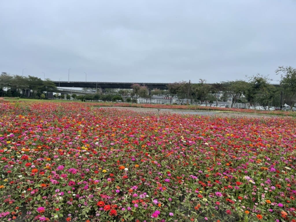 【屏東熱博】熱帶農業博覽會-228連假屏東熱博按讚送地瓜/迪士尼彩繪稻田在屏東/迪士尼迷的你千萬不要錯過囉 - 21