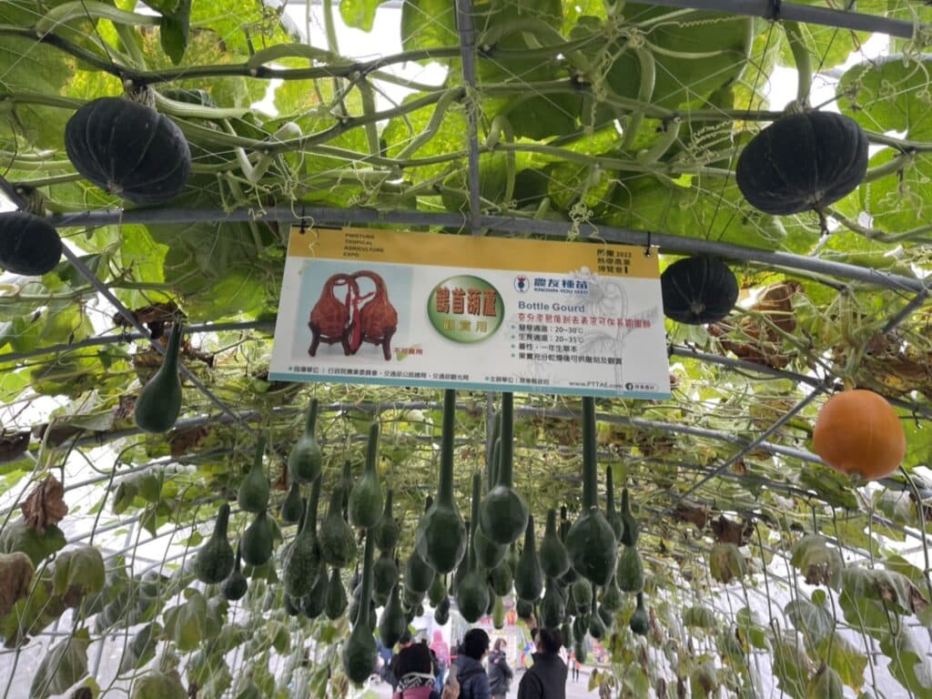 【屏東熱博】熱帶農業博覽會-228連假屏東熱博按讚送地瓜/迪士尼彩繪稻田在屏東/迪士尼迷的你千萬不要錯過囉 - 39