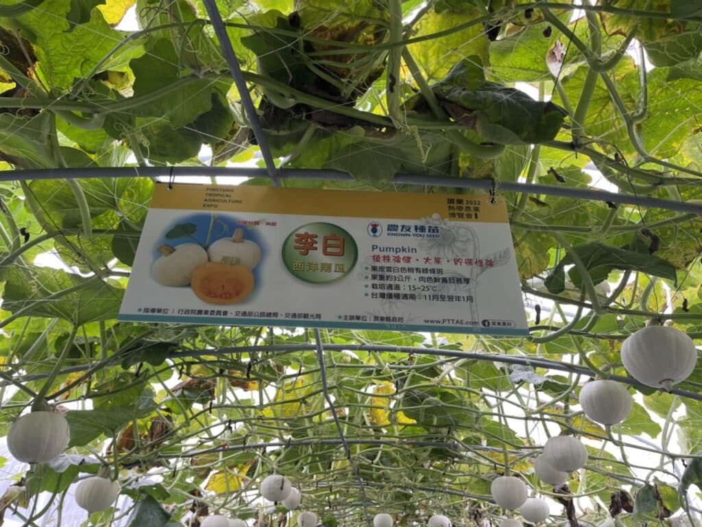 【屏東熱博】熱帶農業博覽會-228連假屏東熱博按讚送地瓜/迪士尼彩繪稻田在屏東/迪士尼迷的你千萬不要錯過囉 - 37