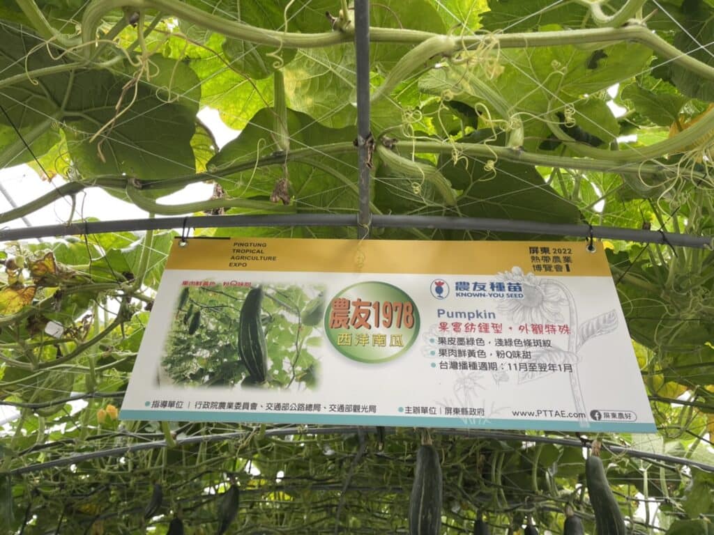 【屏東熱博】熱帶農業博覽會-228連假屏東熱博按讚送地瓜/迪士尼彩繪稻田在屏東/迪士尼迷的你千萬不要錯過囉 - 29