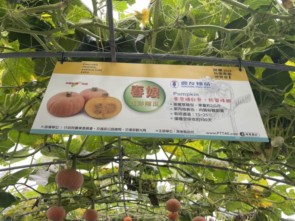 【屏東熱博】熱帶農業博覽會-228連假屏東熱博按讚送地瓜/迪士尼彩繪稻田在屏東/迪士尼迷的你千萬不要錯過囉 - 35