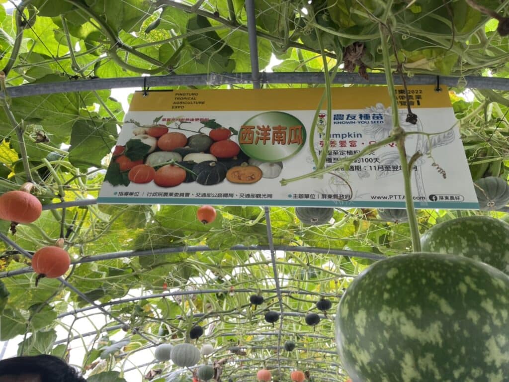 【屏東熱博】熱帶農業博覽會-228連假屏東熱博按讚送地瓜/迪士尼彩繪稻田在屏東/迪士尼迷的你千萬不要錯過囉 - 31