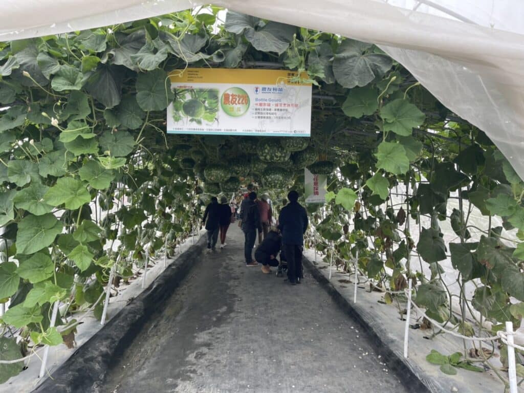 【屏東熱博】熱帶農業博覽會-228連假屏東熱博按讚送地瓜/迪士尼彩繪稻田在屏東/迪士尼迷的你千萬不要錯過囉 - 28