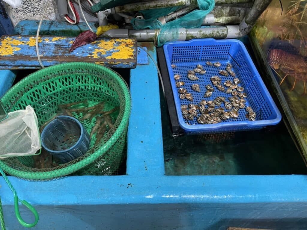 【恆春海鮮】本港活海鮮-內有最新2025菜單/在花枝膘與龍蝦粥中流連忘返的祕境 - 22