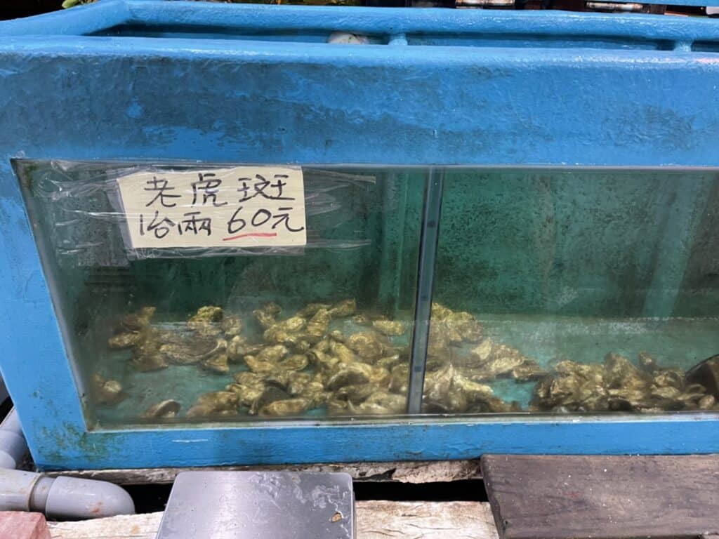 【恆春海鮮】本港活海鮮-內有最新2025菜單/在花枝膘與龍蝦粥中流連忘返的祕境 - 21