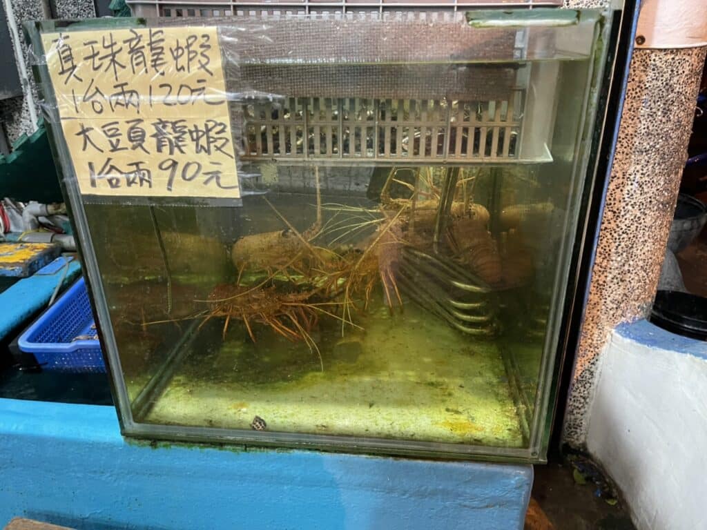 【恆春海鮮】本港活海鮮-內有最新2025菜單/在花枝膘與龍蝦粥中流連忘返的祕境 - 20