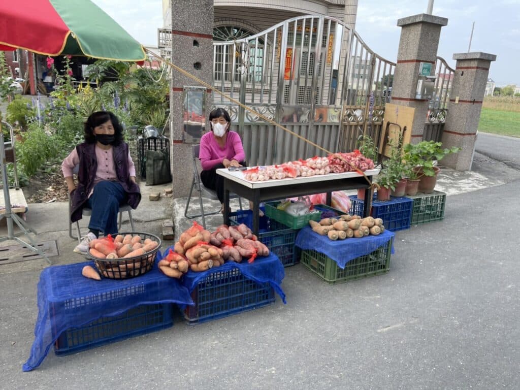 【台南景點】2026學甲蜀葵花季懶人包/蜀葵花、鼠尾草、百日草與黃金浪海麥田周邊景點懶人包 - 69