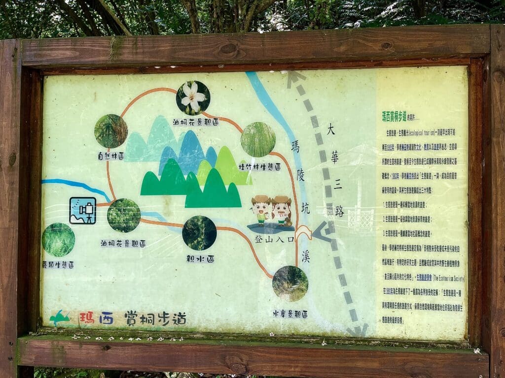 【基隆七堵景點】瑪西桐花步道&富民親水公園/賞桐花戲水一次擁有的台版亞馬遜河秘境 - 16
