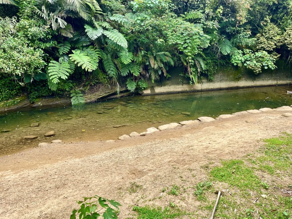 【基隆七堵景點】瑪西桐花步道&富民親水公園/賞桐花戲水一次擁有的台版亞馬遜河秘境 - 46