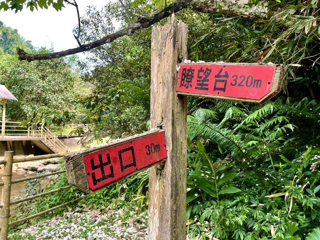 【基隆七堵景點】瑪西桐花步道&富民親水公園/賞桐花戲水一次擁有的台版亞馬遜河秘境 - 22
