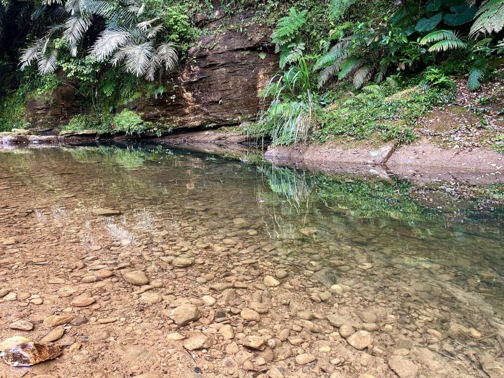 【基隆七堵景點】瑪西桐花步道&富民親水公園/賞桐花戲水一次擁有的台版亞馬遜河秘境 - 47