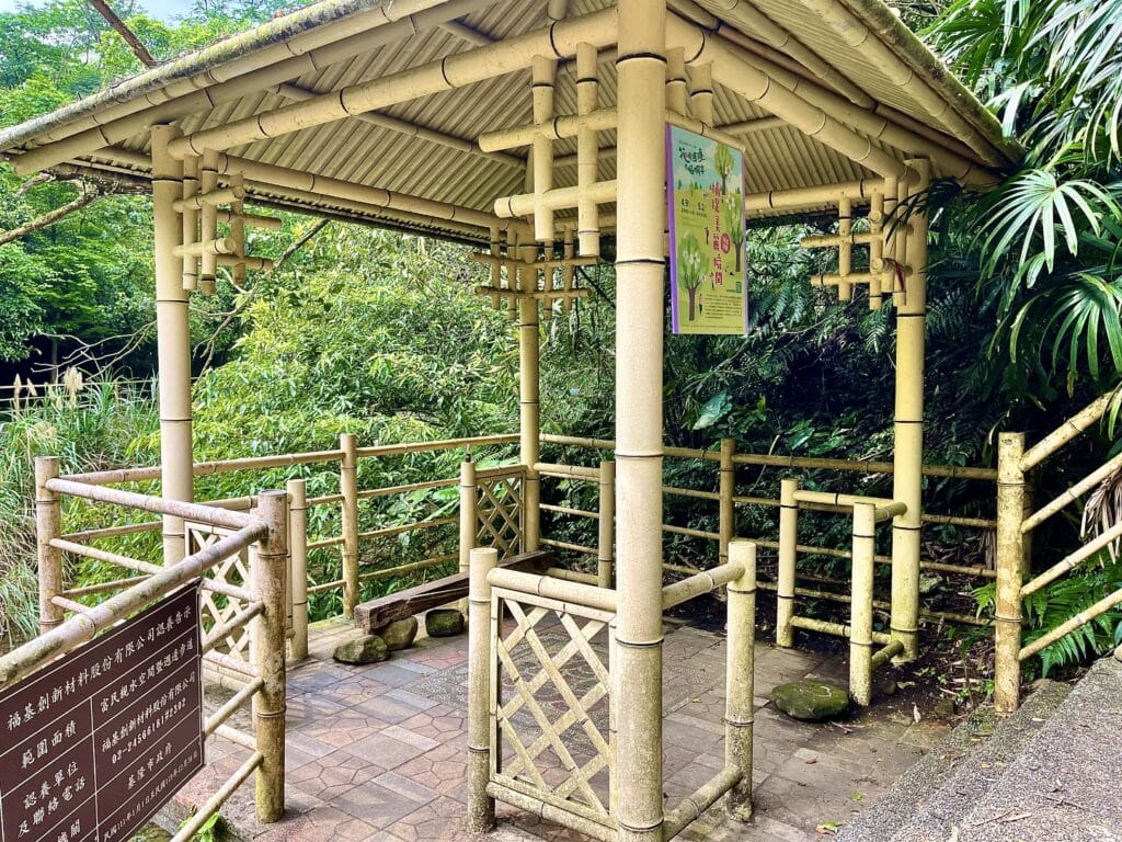 【基隆七堵景點】瑪西桐花步道&富民親水公園/賞桐花戲水一次擁有的台版亞馬遜河秘境 - 14