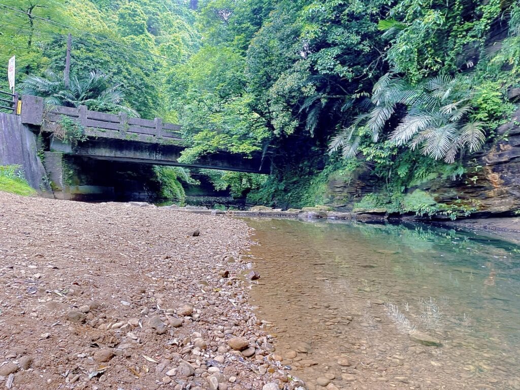 【基隆七堵景點】瑪西桐花步道&富民親水公園/賞桐花戲水一次擁有的台版亞馬遜河秘境 - 53