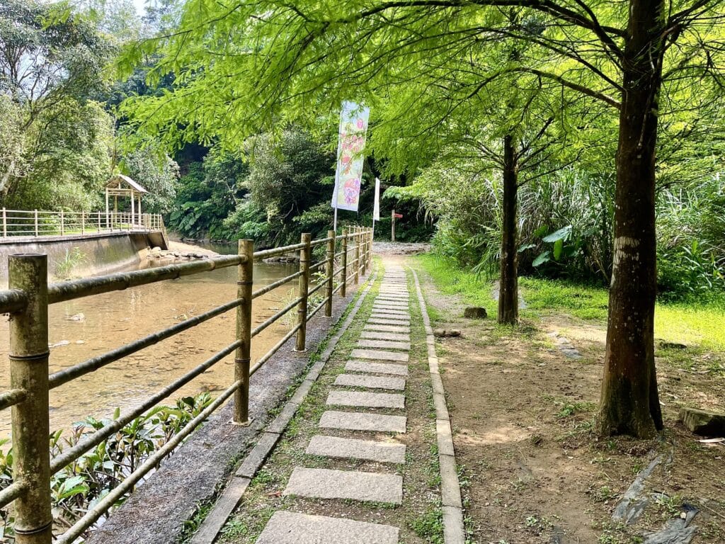 瑪西桐花步道
