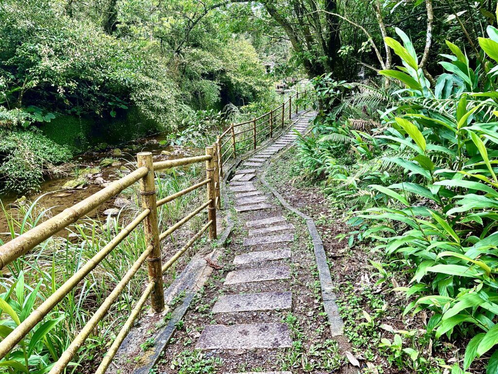 【基隆七堵景點】瑪西桐花步道&富民親水公園/賞桐花戲水一次擁有的台版亞馬遜河秘境 - 38