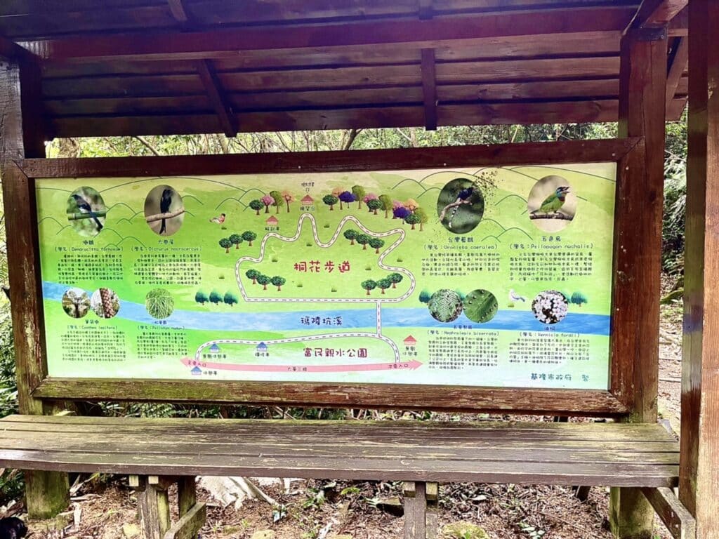 【基隆七堵景點】瑪西桐花步道&富民親水公園/賞桐花戲水一次擁有的台版亞馬遜河秘境 - 32