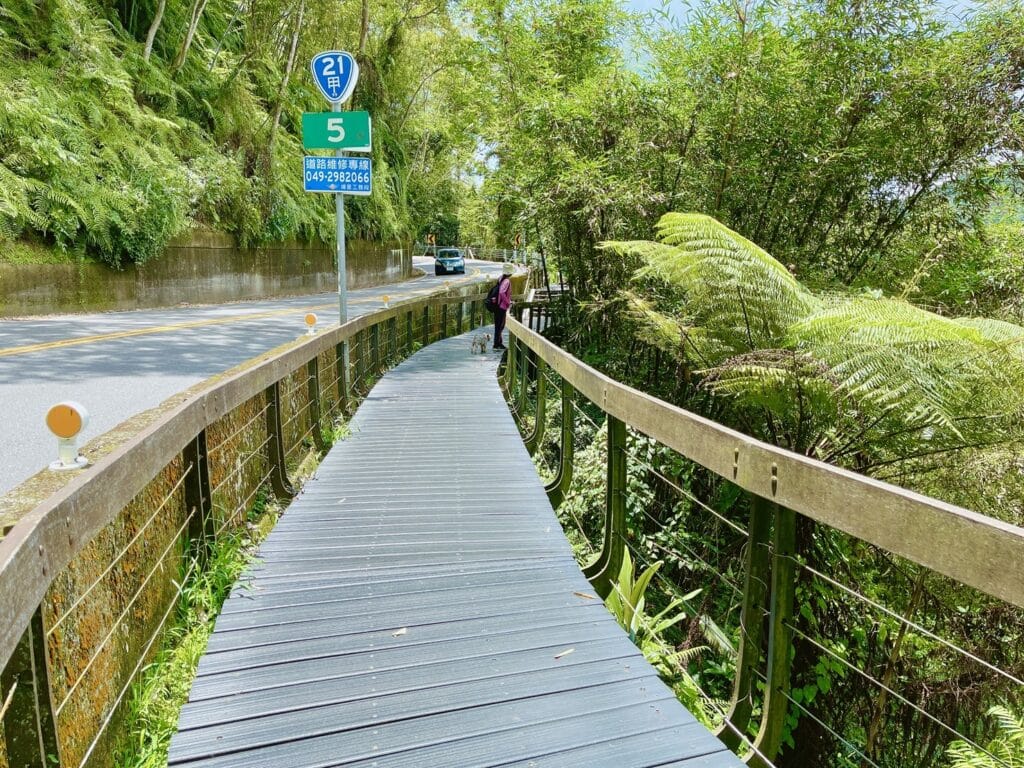 【南投日月潭景點】九蛙疊像&水蛙頭步道/2024免門票景點/輕鬆走環湖步道/日月潭水位高度之指標 - 214