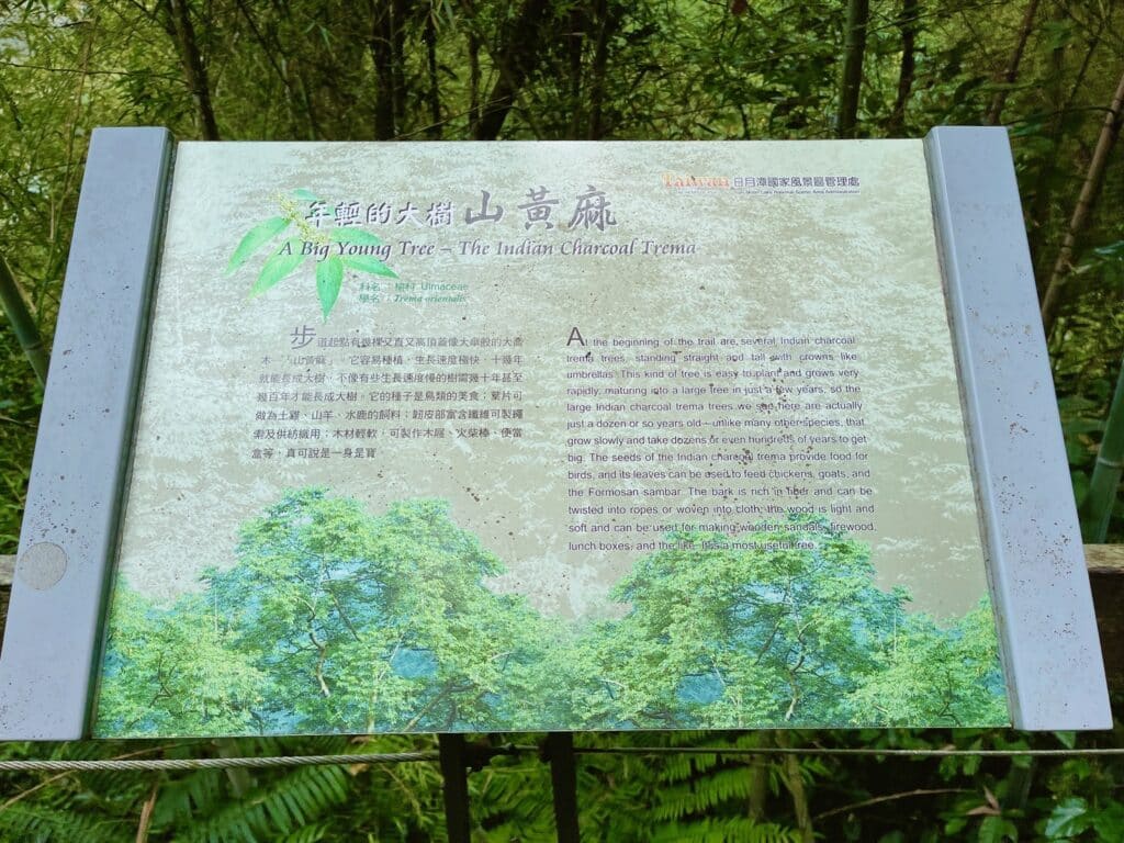 【南投日月潭景點】九蛙疊像&水蛙頭步道/2024免門票景點/輕鬆走環湖步道/日月潭水位高度之指標 - 199