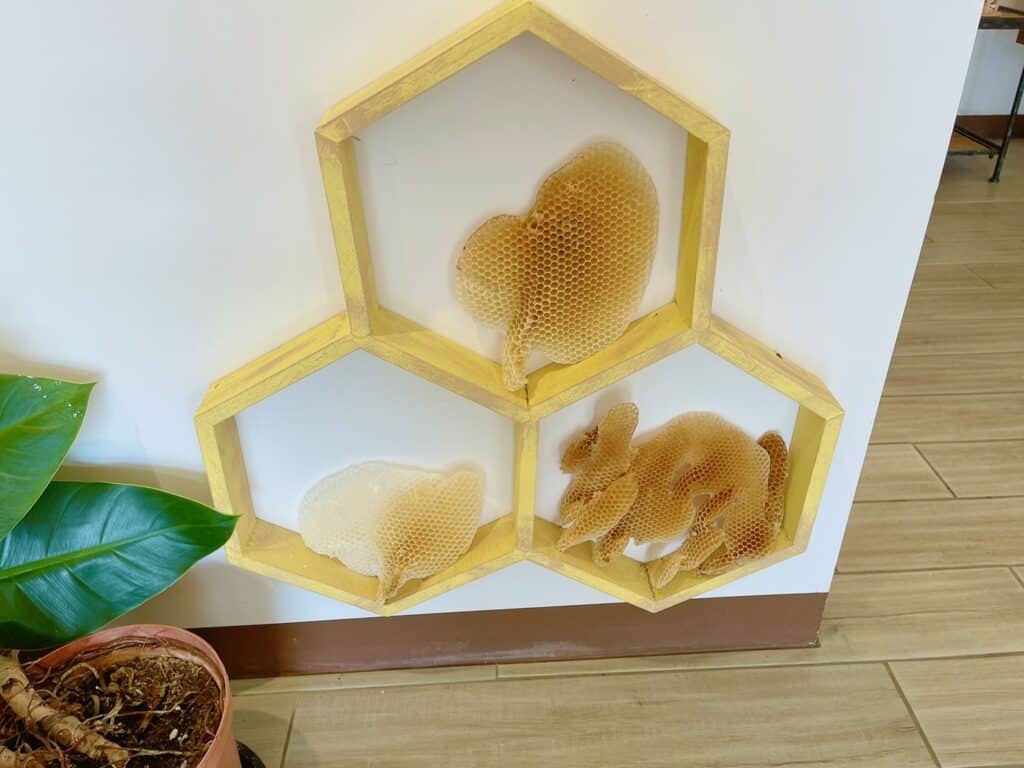 【南投埔里景點】蜜蜂王國&時時晴法式甜點坊/內有2024目錄/精緻繽紛的法式甜點與蜂蜜美麗的邂逅 - 162