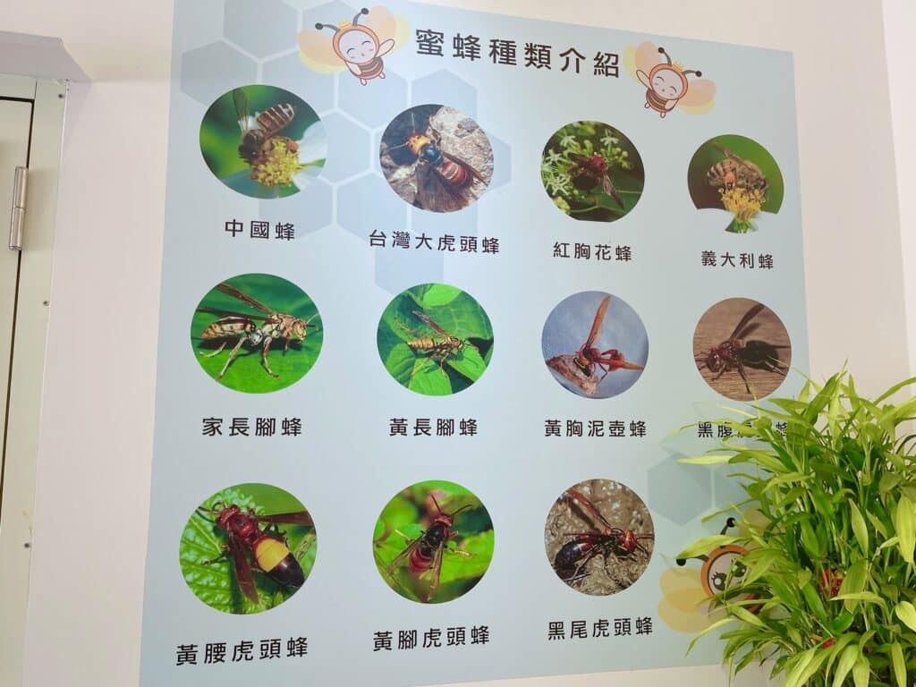 【南投埔里景點】蜜蜂王國&時時晴法式甜點坊/內有2024目錄/精緻繽紛的法式甜點與蜂蜜美麗的邂逅 - 164
