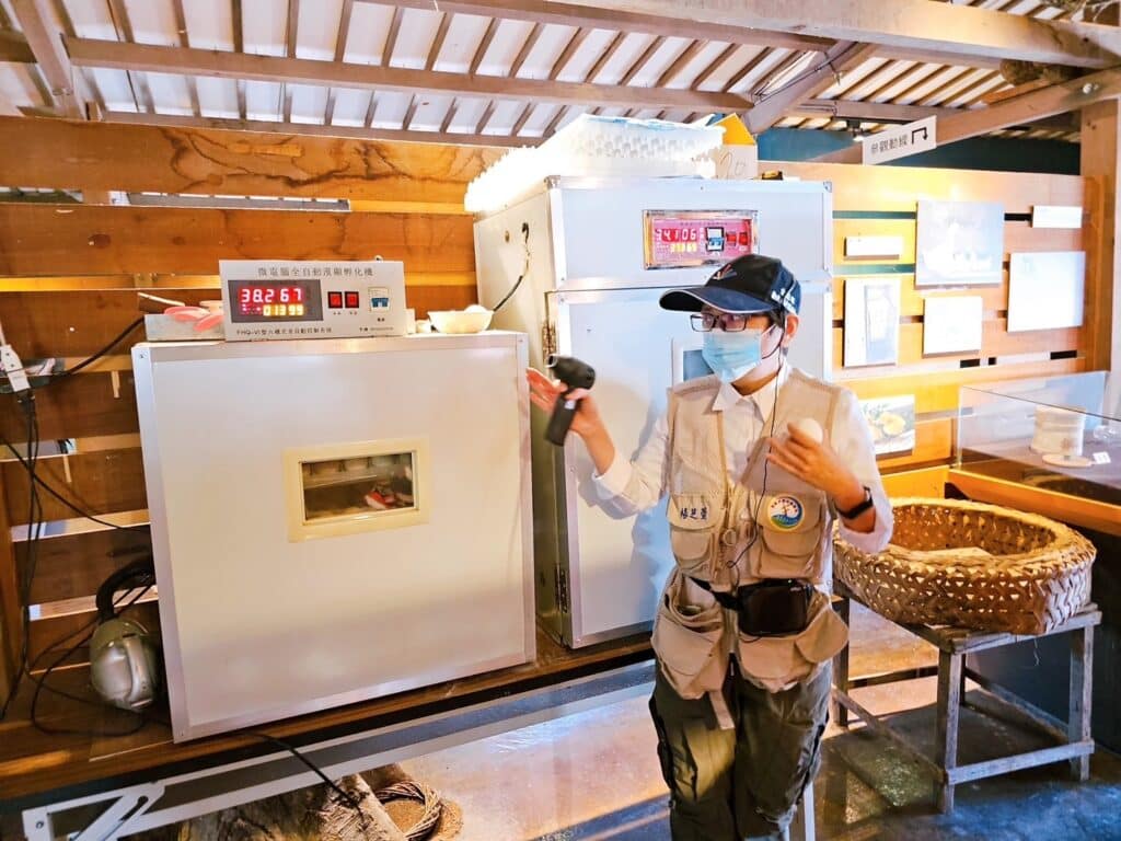 【宜蘭景點】鴨寮故事館-內有2024票價/近距離餵食鴨子還可DIY紅土鹹蛋 - 23
