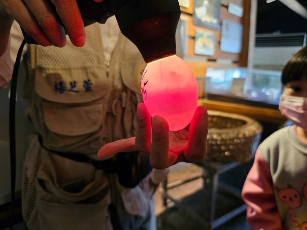 【宜蘭景點】鴨寮故事館-內有2024票價/近距離餵食鴨子還可DIY紅土鹹蛋 - 26