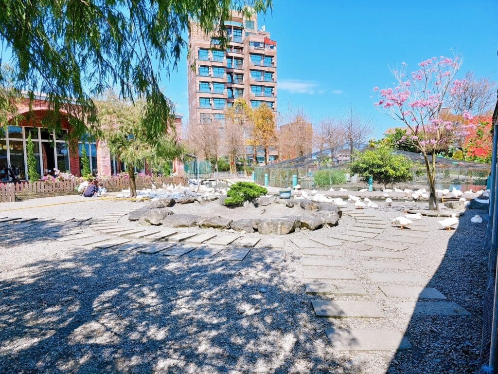 【宜蘭景點】鴨寮故事館-內有2024票價/近距離餵食鴨子還可DIY紅土鹹蛋 - 38