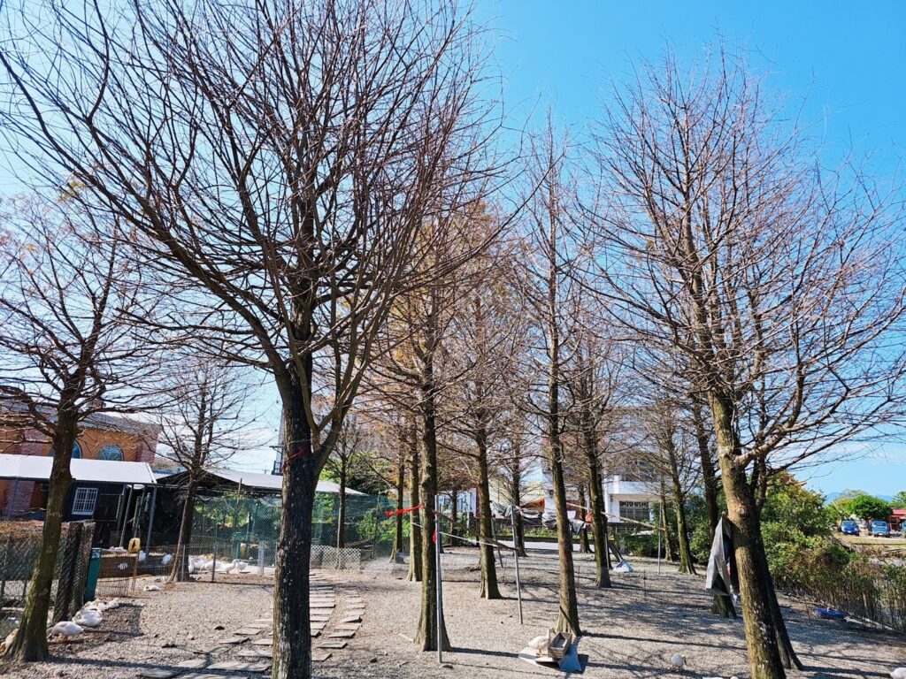 【宜蘭景點】鴨寮故事館-內有2024票價/近距離餵食鴨子還可DIY紅土鹹蛋 - 52
