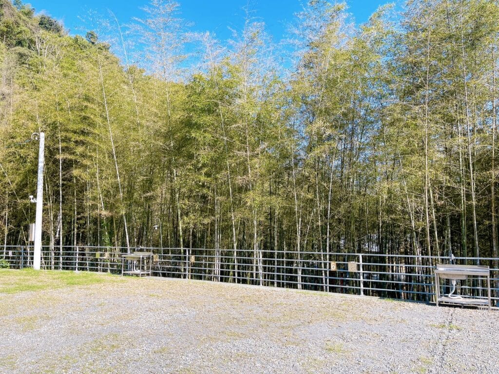 【南投鹿谷露營】和雅六分營地-內有2024營區價錢/大崙山溪頭杉林溪附近旅遊的基地 - 11