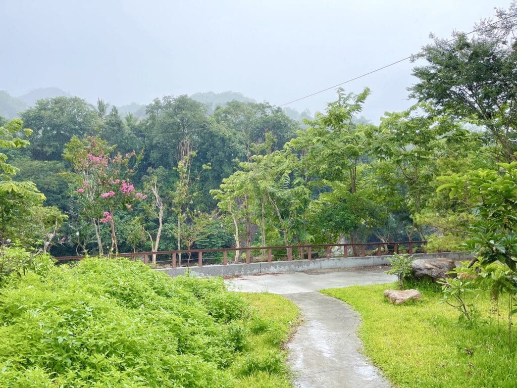 【南投景點】北港溪糯米石橋-免門票/台灣唯一橋樑三級古蹟 - 29