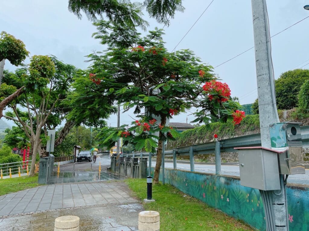 【南投景點】北港溪糯米石橋-免門票/台灣唯一橋樑三級古蹟 - 13